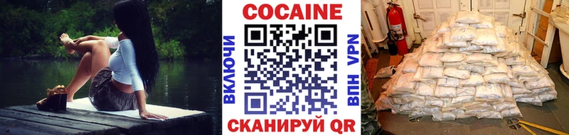 COCAIN Fish Scale  Купить закладки  Рубцовск 