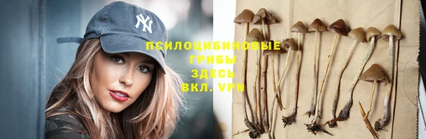 мяу мяу мука Осташков