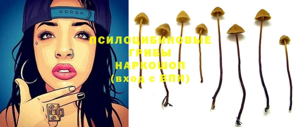 спайс Осинники