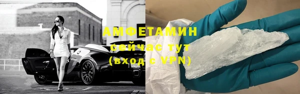 a pvp Пересвет