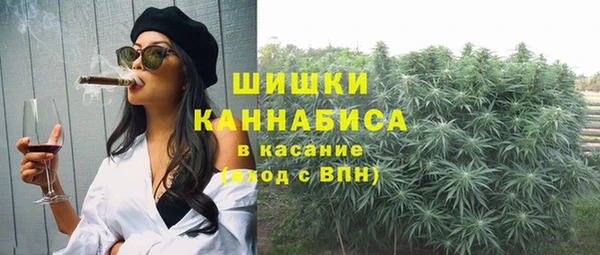СК Пестово