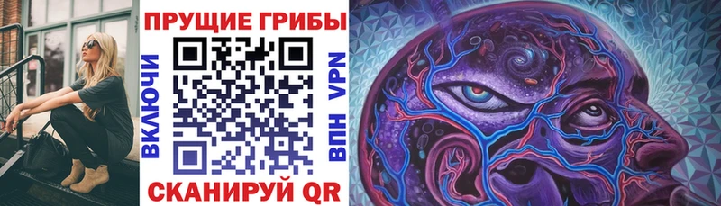 Купить  Рубцовск  Галлюциногенные грибы MAGIC MUSHROOMS 